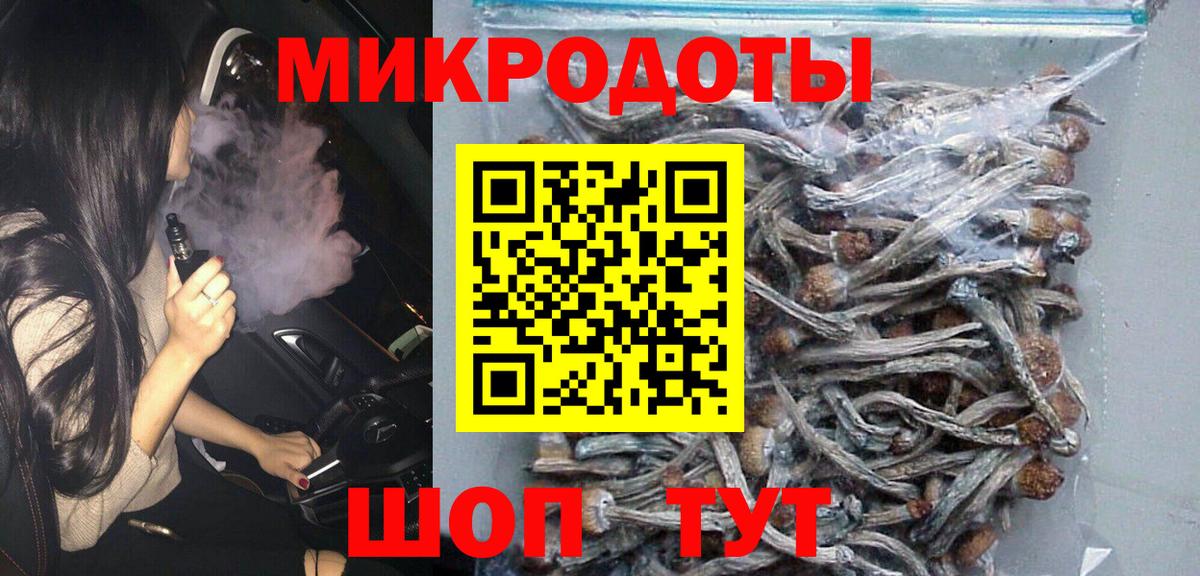 Галлюциногенные грибы Cubensis Гуково