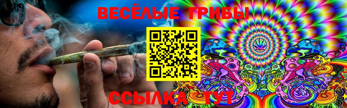 Галлюциногенные грибы GOLDEN TEACHER  Вход с VPN  где можно купить   Гуково  Псилоцибиновые грибы Psilocybe 